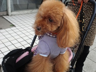 �}�����������Q�L�V���A