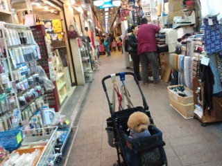 ���ˉ��̏��X�X