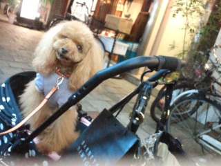 �}��������񂨗��������