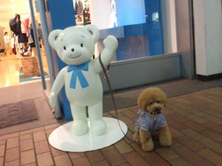 �t�@�~�����Ƃ��U��