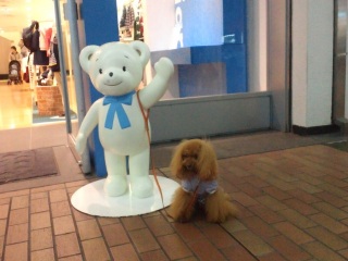 �}�����������t�@�~�����Ɓ�