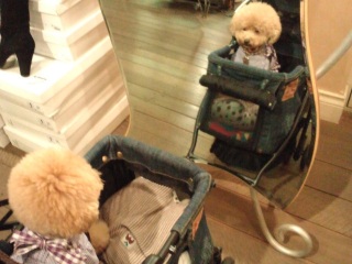 ���̒��̃{�N