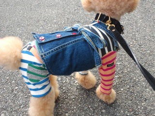 �����̃����E�e�B����