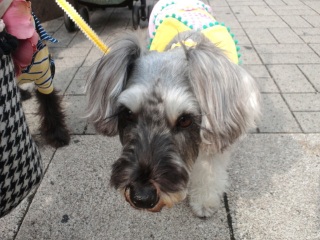 �~���g�����