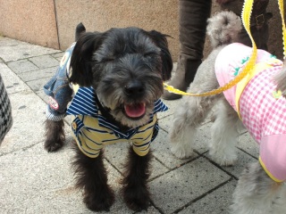 �`���R�����