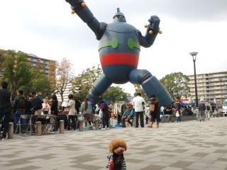 �J�����ɓ��邩�Ȃ��c