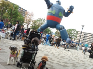 �S�l28���ƃQ�L�V��