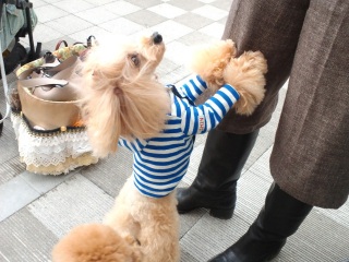 �L�^-----------!