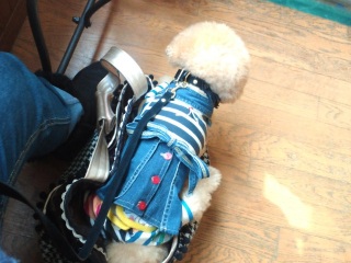 �����Ł`����cafe�I