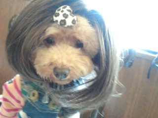 �S����܂�ɂ��؂肵���́B