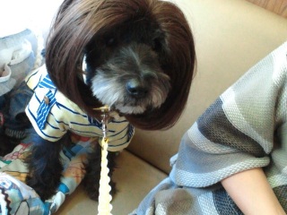 �u���b�N�̎�H