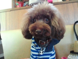 ������܂�