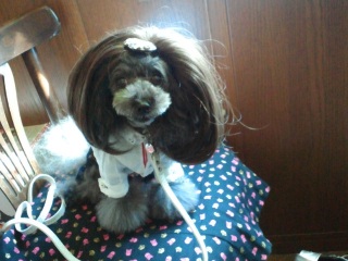 �E�C�b�O����������