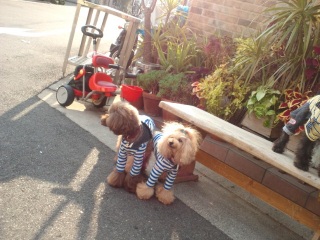 ���S�����