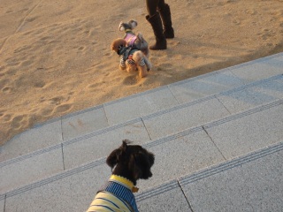 �_�ˋ�`�l�H�l