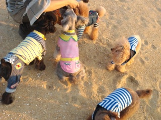 �~���g�}�}�ɂւ΂����