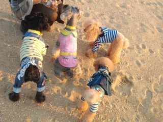 ����H�������́H