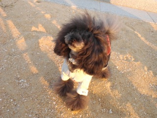 ANDY������y��������