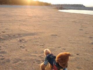 �����E�e�B������[