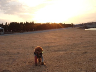 ����������[