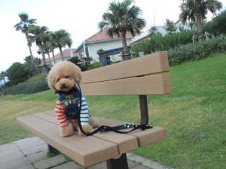 ������ƃ|�[�Y���Ă��炤�B