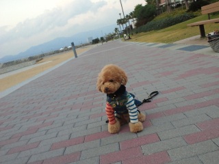 �ǂ����Ƃ��Ă��ǂ���[