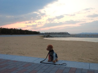 �����Ă݂���H