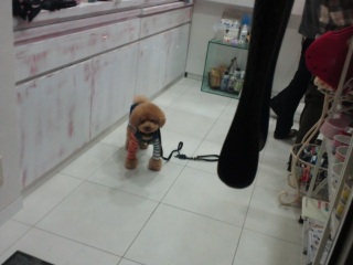 �����E�e�B�������X�E���E��