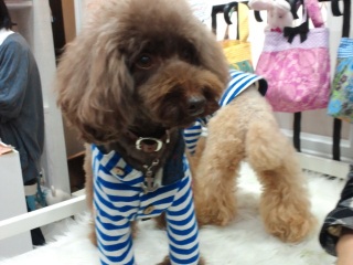 ������܂��