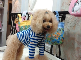 �~�c�{�^��