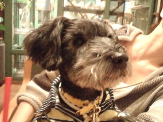 �`���R�����