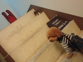 �f�G�ȃJ�t�F�ł�����