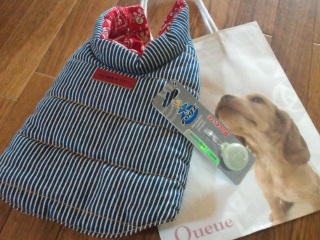 Queue����Ŕ���������