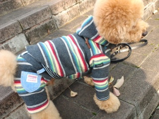 �����̃����E�e�B����