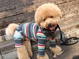 �Ȃ񂩂��@���H