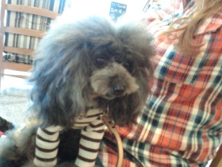 ����������ANDY�����