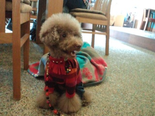 ���߂܂��ĂՂ����偙