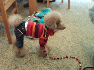 �X�^�C�������˂�