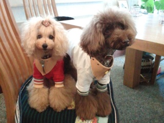 Rmade.�ȃo���_�i���Ă���Ă�I