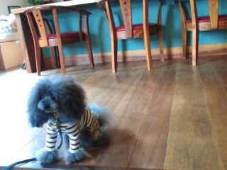 ANDY����G�ɂȂ�Ȃ���