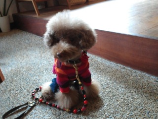 �����ƍ���Ղ�����