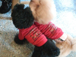 �������w��