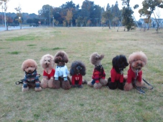 �V���[�S�[����؂����I