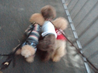 ���ɂ������