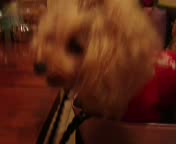 �����S����܂�