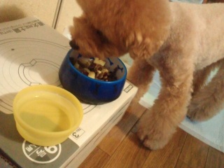 �����E�e�B�����т���