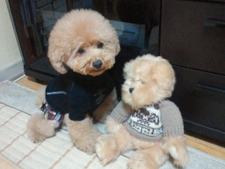 ��t�֋A��܂���