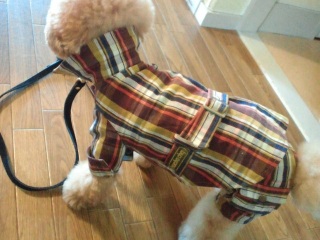 �����̃����E�e�B����