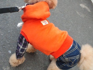 �����̃����E�e�B����