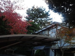 ���グ����c